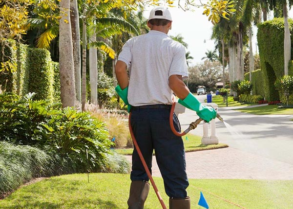 About Wayne MI Pest Control Pros